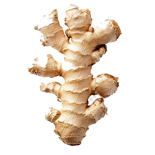Dry ginger Manufacturers in Ghaziabad