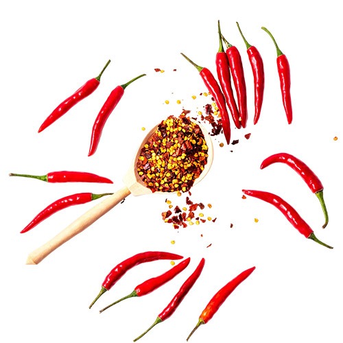 Chilli Peppers Manufacturers in Delhi